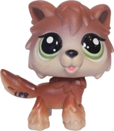#2141 Wolf Dog